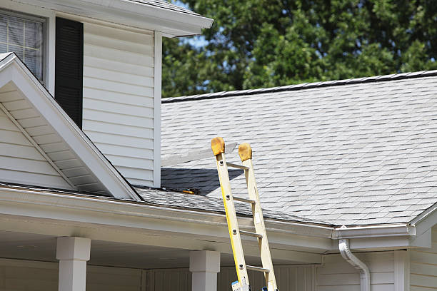 Best Shed Removal  in Beresford, SD